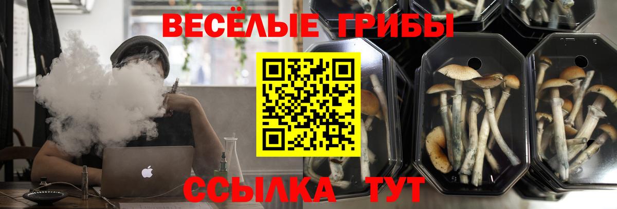Галлюциногенные грибы ЛСД  Вход с VPN  Ивантеевка  Псилоцибиновые грибы Psilocybe 